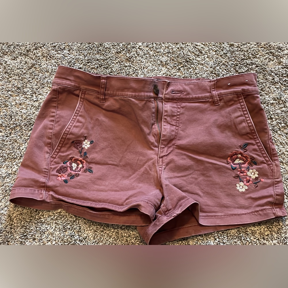 Express Embroidered Shorts